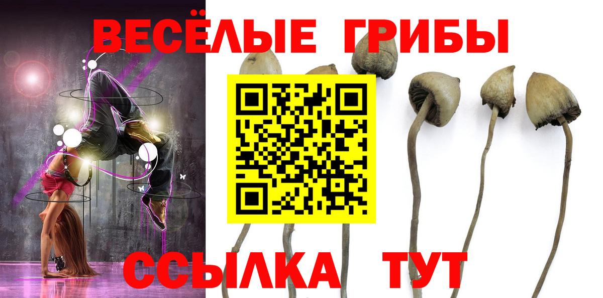 Галлюциногенные грибы GOLDEN TEACHER Малгобек
