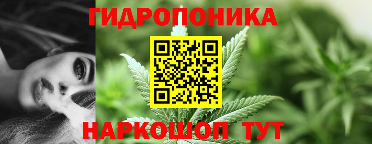 Каннабис планчик Малгобек